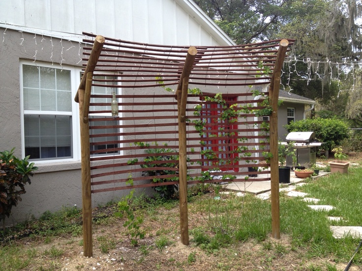 Diy Arbors Pinterest